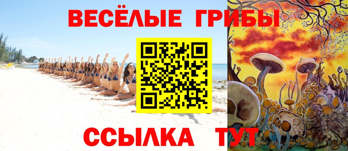 Галлюциногенные грибы Psilocybine cubensis  Вход с VPN  Псилоцибиновые грибы MAGIC MUSHROOMS  Балабаново 