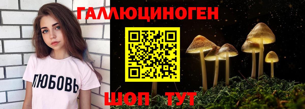 Псилоцибиновые грибы MAGIC MUSHROOMS Балабаново